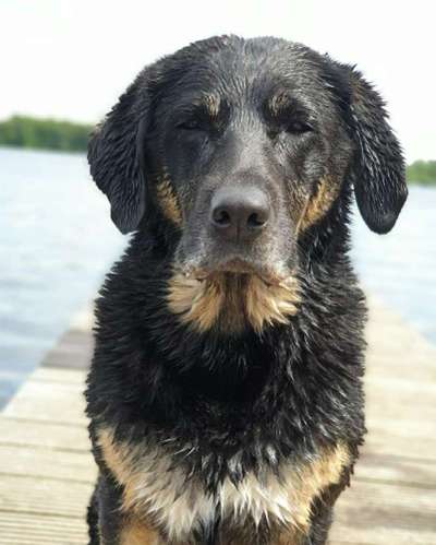 Fotochallange Nr. 57     PORTRÄT.   Beendet!!!!!!!!-Beitrag-Bild