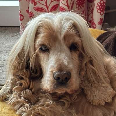 Juliane's Profilbild