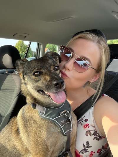 Hundetreffen-Begegnungstraining-Bild