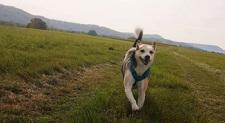 DNA-Tests-Beitrag-Bild