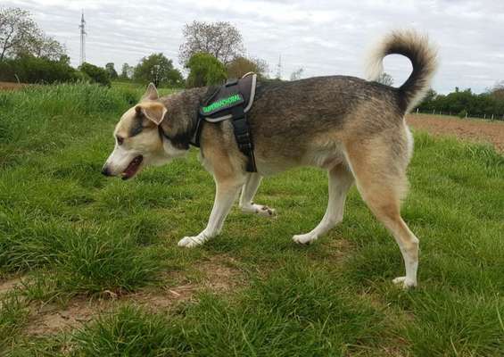 DNA-Tests-Beitrag-Bild