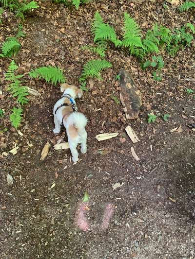 Theos Fotochallenge Nr. 3-Beitrag-Bild