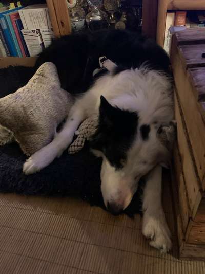 Theos Fotochallenge Nr. 3-Beitrag-Bild