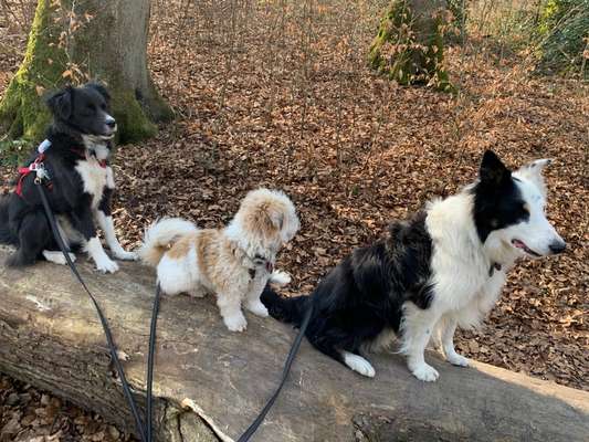 Theos Fotochallenge Nr. 3-Beitrag-Bild