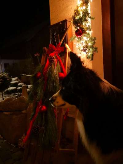 It's beginning to look a lot like.....-Beitrag-Bild