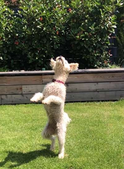 Fotochallenge Nr. 52 „Spring!“-Beitrag-Bild