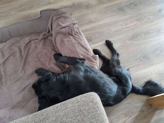 Die unbequemsten und lustigsten Schlafpositionen-Beitrag-Bild