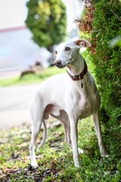 Austausch zur Fotografie-Beitrag-Bild