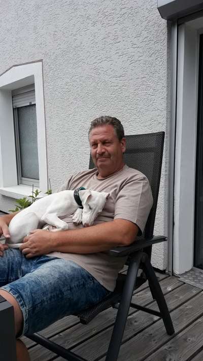 Windhunde - Treffen der besonderen Schönheiten
HERZLICH WILLKOMMEN-Beitrag-Bild