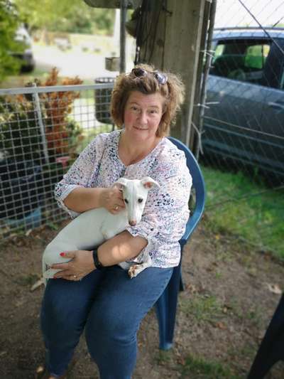 Windhunde - Treffen der besonderen Schönheiten
HERZLICH WILLKOMMEN-Beitrag-Bild