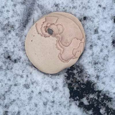 Giftköder-Giftköder-Bild