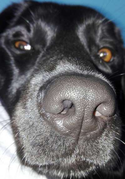 Blick fürs Detail!-Beitrag-Bild