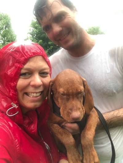 Die Dogorama Wochen Challenge: “Regenspaziergänge"-Beitrag-Bild