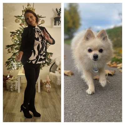 Hundetreffen-Welpentreffen