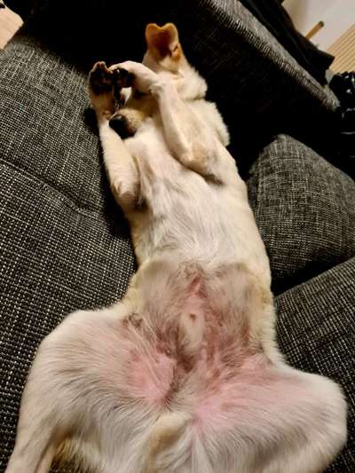 Challenge 21 - wo bin ich : )-Beitrag-Bild