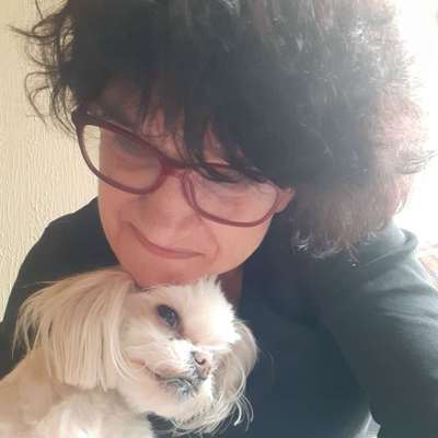 Hundetreffen-Kleine Hunde treffen,Raum Borbeck, Schönebeck-Profilbild