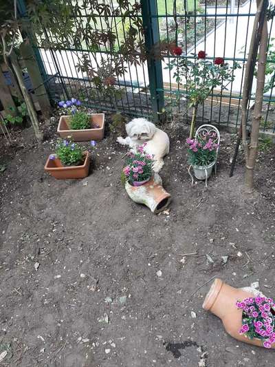 Fotochallenge 37- Sommerfeeling-Beitrag-Bild