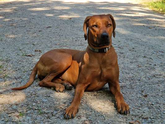 Lieblingsbild-Beitrag-Bild