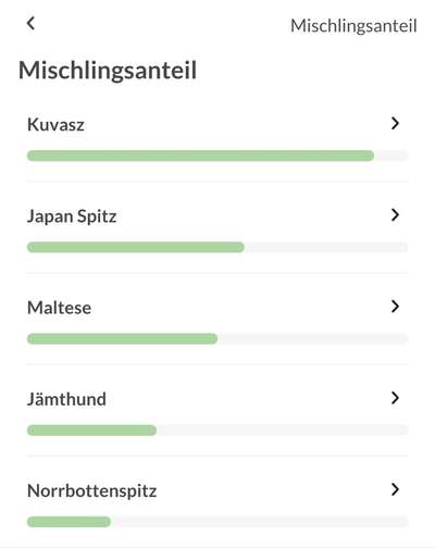 Mischlingshunde Foto Aufruf-Beitrag-Bild