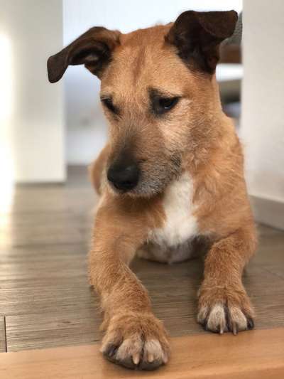 Lieblingsbild-Beitrag-Bild