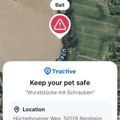 Giftköder-Wurststücke mit Schrauben-Bild