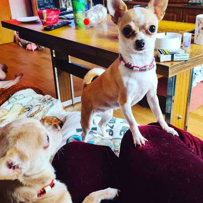 Fotochallange Nr. 57     PORTRÄT.   Beendet!!!!!!!!-Beitrag-Bild