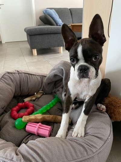 147. Foto Challenge: Bettelblick-Beitrag-Bild