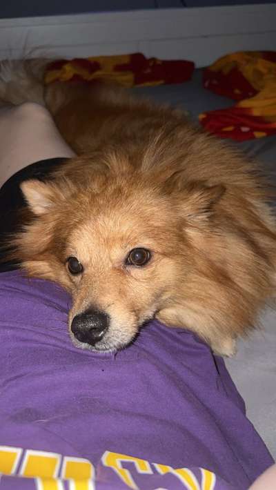 Bezugsperson für 3 Monate weg-Beitrag-Bild