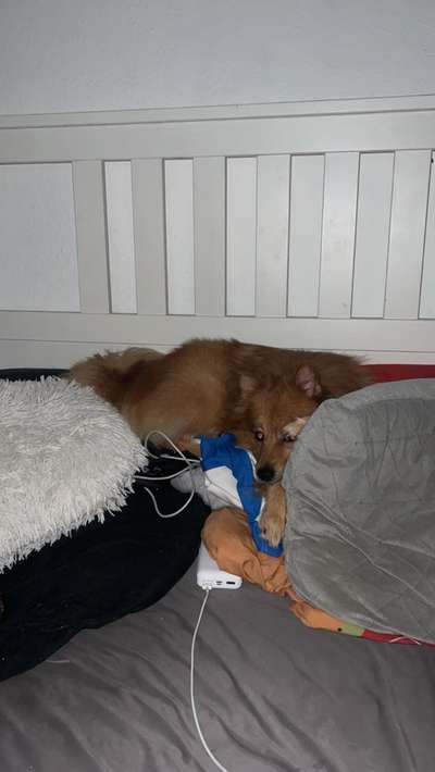 Bezugsperson für 3 Monate weg-Beitrag-Bild