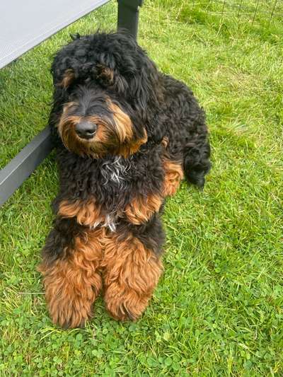 aktuelles Foto Gruppe Doodles Hamburg