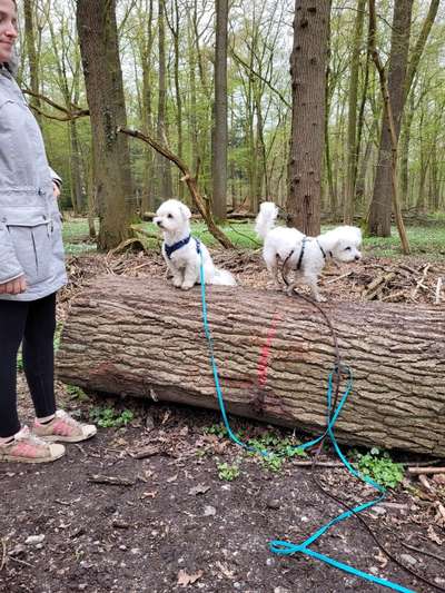 Fotochallenge 130-Beitrag-Bild