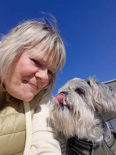 Hundetreffen-Hunde Senioren Treff-Bild
