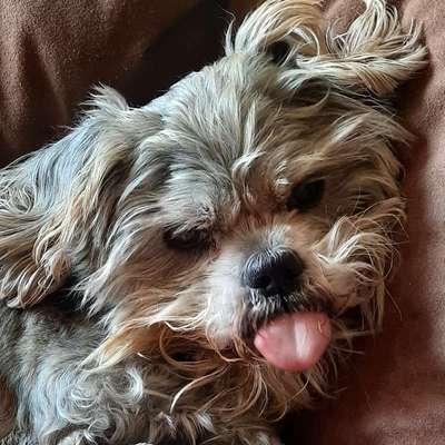 Ingrid's Profilbild