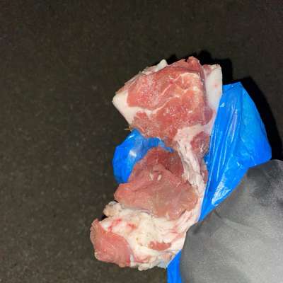 Giftköder-Rohe Fleischstücke mit Knochen-Bild