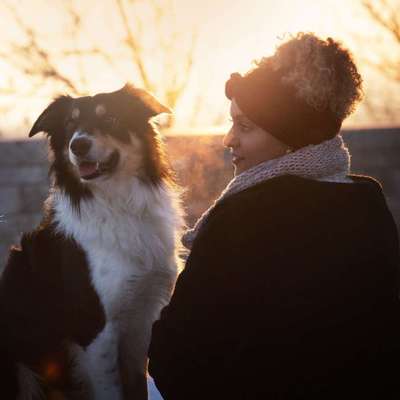 Hundetreffen-Hundebegegnungen üben 😊-Profilbild