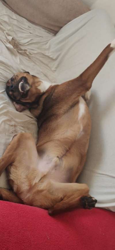 Lustige Grimassen & verrückte Posen-Beitrag-Bild