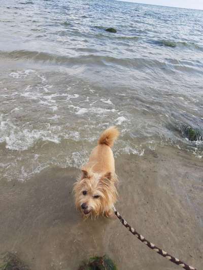 FOTOCHALLANGE NR.71 BADEFREUDE-Beitrag-Bild