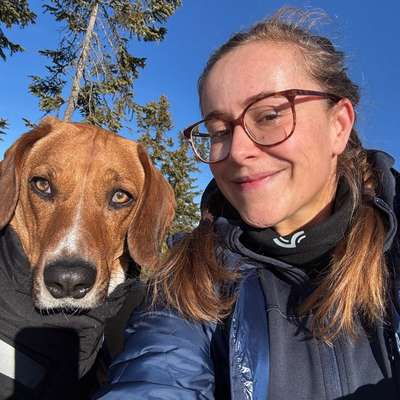 Hundetreffen-Übungsgruppe für Hundebegegnungen gesucht! 🦮🐩🐕-Bild