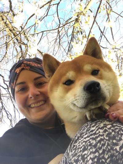 Challenge 33 - Du und dein Hund-Beitrag-Bild