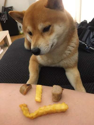 Fotochallenge 31 - Das perfekte Hundedinner-Beitrag-Bild