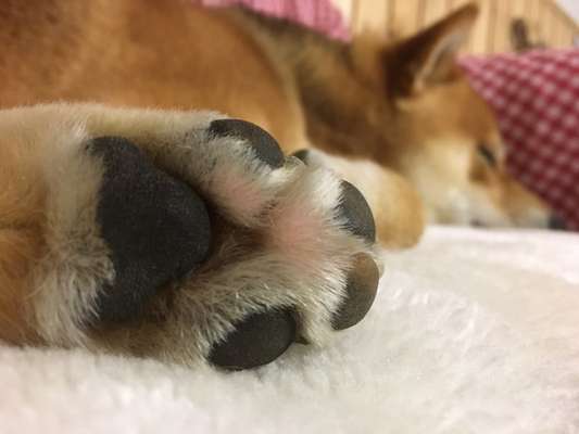 Blick fürs Detail!-Beitrag-Bild