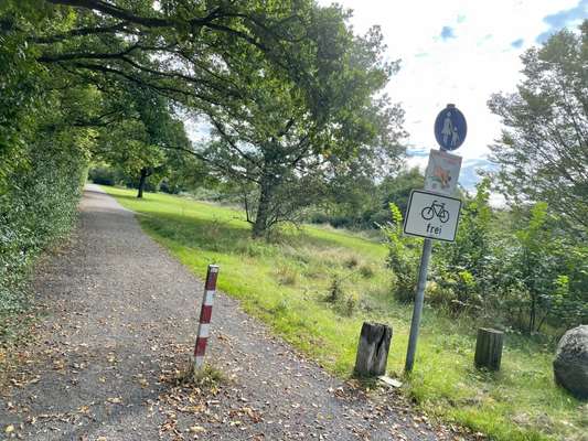 Hundeauslaufgebiet-Osterfelddamm und Milanstraße-Bild