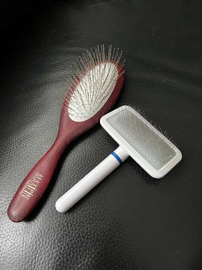 Welche Bürste für Spitz?-Beitrag-Bild