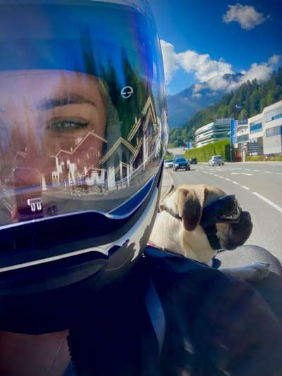 Fotochallenge 108: Starkes Team-Beitrag-Bild