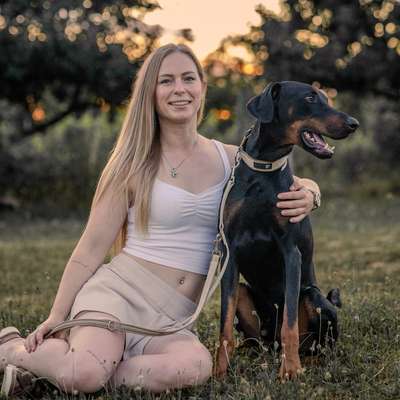 Hundetreffen-Social walk / Hundebegegnungen trainieren