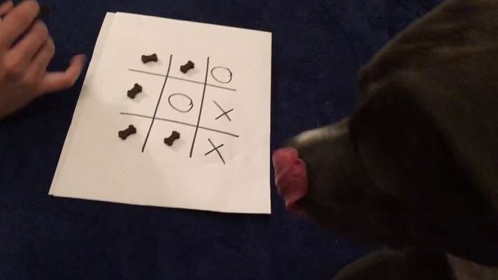 15. Handyfoto Challenge - Indoor Aktivitäten-Beitrag-Bild