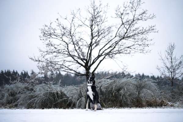 Fotochallenge 87: Im Park-Beitrag-Bild