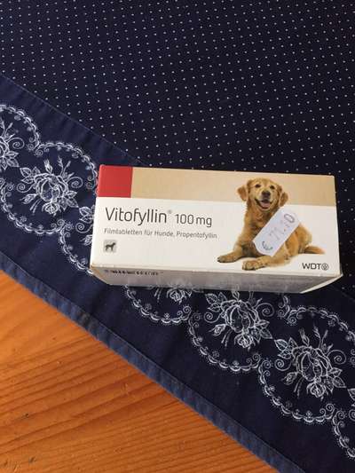 Dringende Hilfe: Hund isst nichts/Apathie-Beitrag-Bild