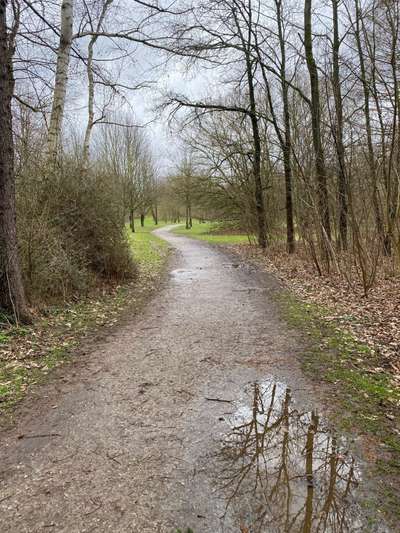 Hundeauslaufgebiet-Wiese am Zoo-Bild