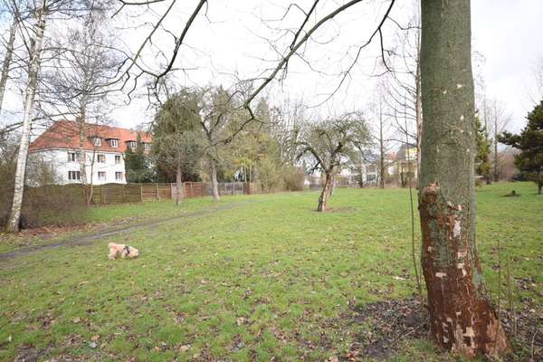 Hundeauslaufgebiet-Kleine Hundewiese Lehndorf-Bild